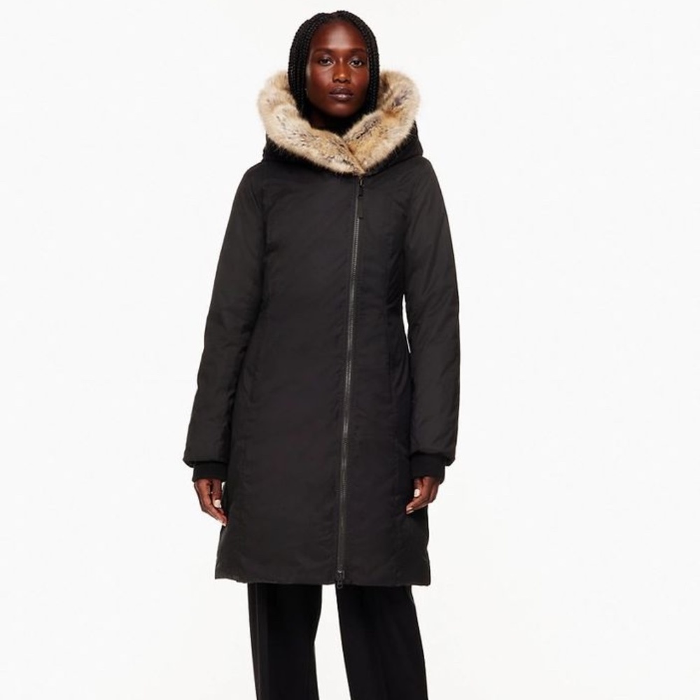Aritzia St. Moritz Parka